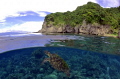   Green Turtle Apo Island Philippines. Philippines  